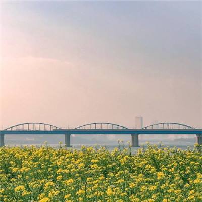 河北唐山港2023年货物吞吐量同比增长9.53％